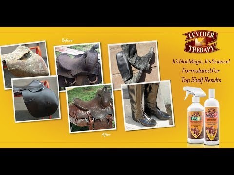 Leather Therapy WASH Absorbine 473 ml