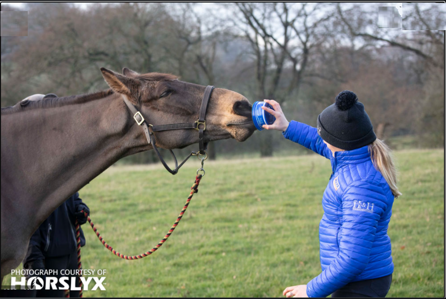 Horslyx Pro Digest 650 gr