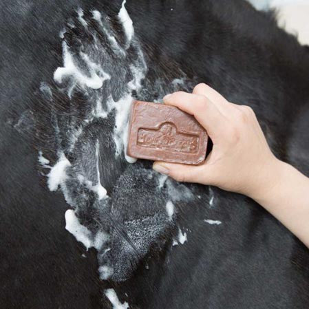 Active Soap