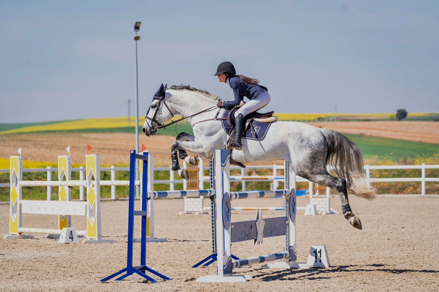 CSN 3* Equus Duri