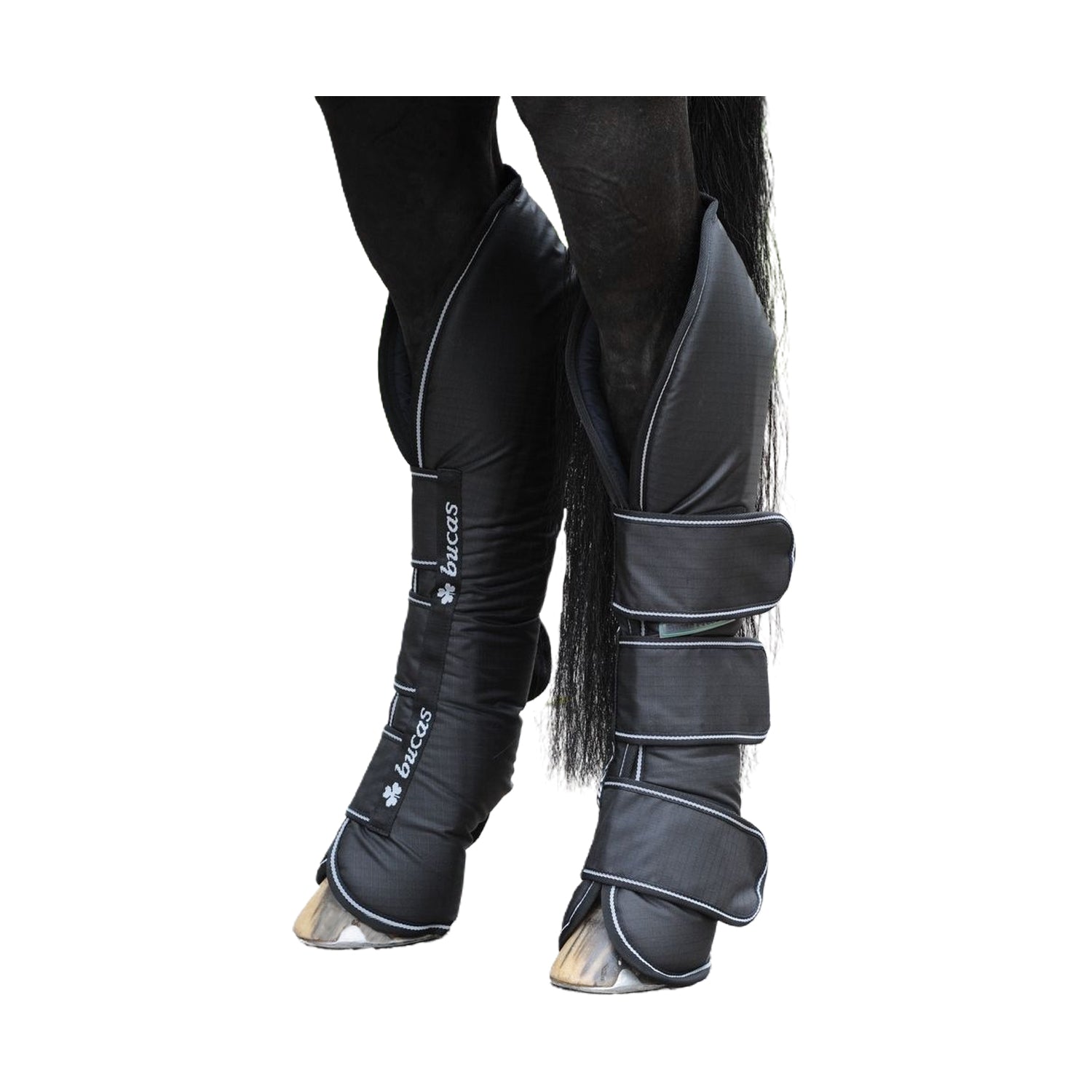 Protectores de Transporte - Negro