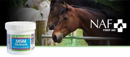 MSM Ointment NAF 250 gr